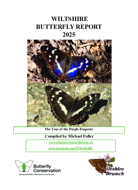 Bulletin