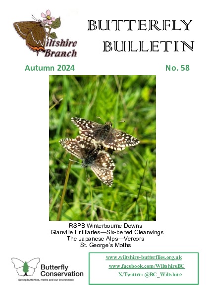 Bulletin